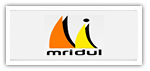 Mridulbuildtech client logo