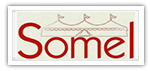 Someltenthire client logo