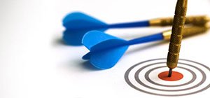 Corporate Profiles
