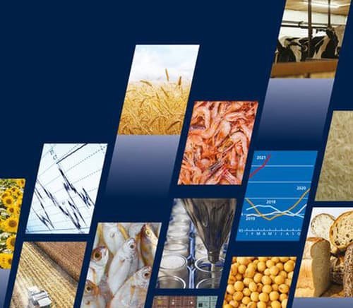 Hospitality restaurant and hotel digital growth