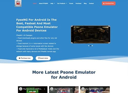 FPSECE 1 portfolio screenshot