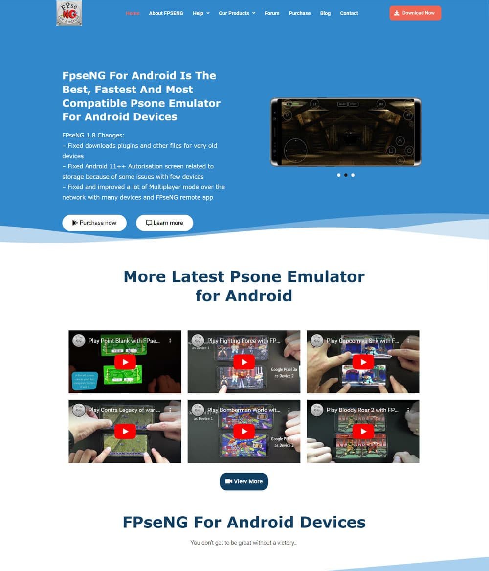FPSECE portfolio screenshot
