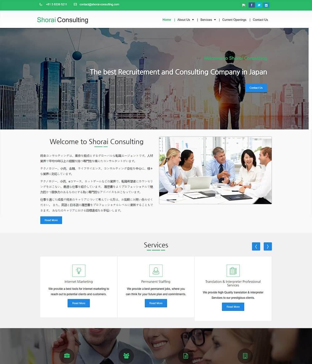 Shorai Consulting portfolio visual