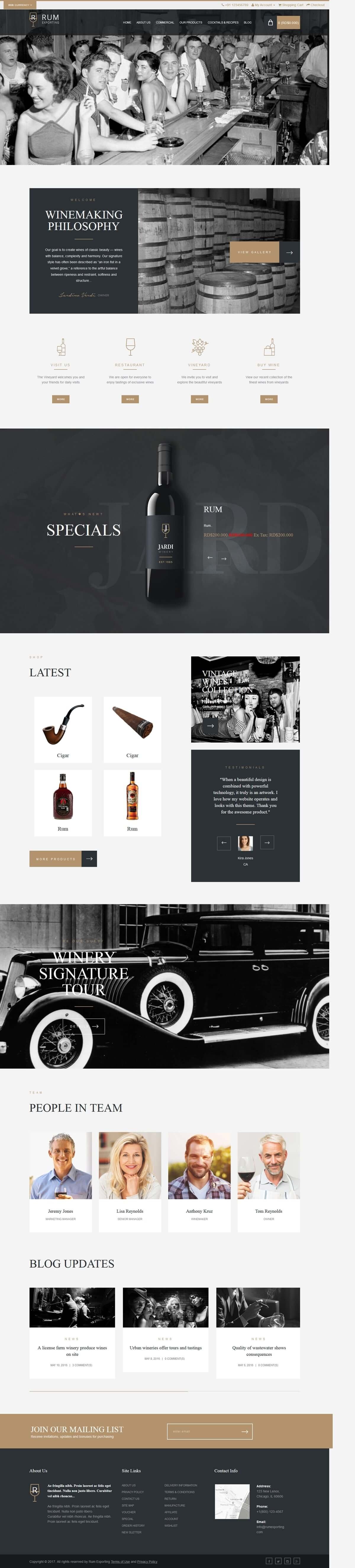 Rumexporter portfolio screenshot